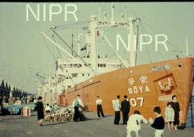 NIPR_000350.jpg