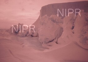 NIPR_003520.jpg