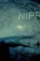 NIPR_015022.jpg