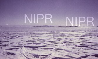 NIPR_016524.jpg