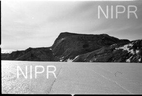 NIPR_017011.jpg