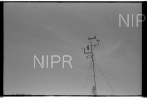 NIPR_017864.jpg